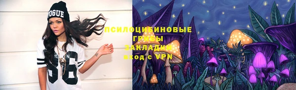 шишки Баксан