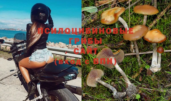 шишки Баксан